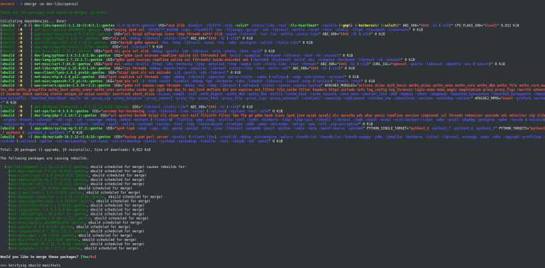 OpenSSL 1.1.1 on Gentoo Linux