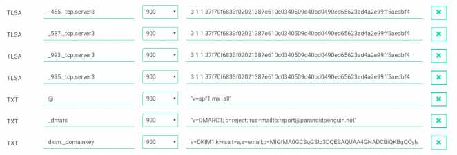 ParanoidPenguin.net DNS records